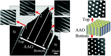 Graphical abstract: Revealing the truncated conical geometry of nanochannels in anodic aluminium oxide membranes