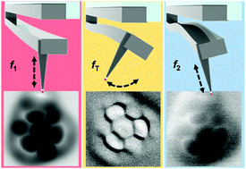 Graphical abstract: Chemical bond imaging using torsional and flexural higher eigenmodes of qPlus sensors