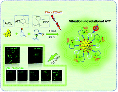 Graphical abstract: Facile construction of highly luminescent and biocompatible gold nanoclusters by shell rigidification for two-photon pH-edited cytoplasmic and in vivo imaging