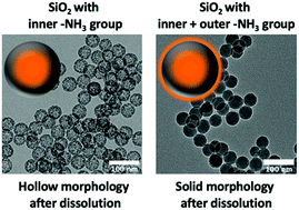 Graphical abstract: Effect of (3-aminopropyl)triethoxysilane on dissolution of silica nanoparticles synthesized via reverse micro emulsion