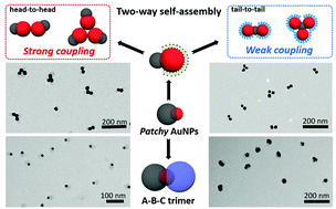 Graphical abstract: Patchy metal nanoparticles with polymers: controllable growth and two-way self-assembly