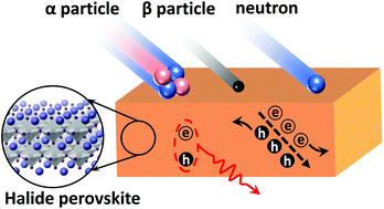 Graphical abstract: Halide perovskites and perovskite related materials for particle radiation detection