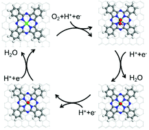 Graphical abstract: Achieving a highly efficient oxygen reduction reaction via a molecular Fe single atom catalyst