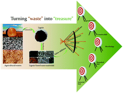 Graphical abstract: From residue to resource: new insights into the synthesis of functionalized lignin micro/nanospheres by self-assembly technology for waste resource utilization