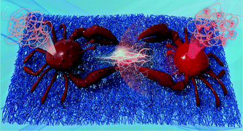 Graphical abstract: Red carbon dot directed biocrystalline alignment for piezoelectric energy harvesting