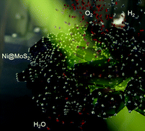 Graphical abstract: Nickel nanoparticle-activated MoS2 for efficient visible light photocatalytic hydrogen evolution