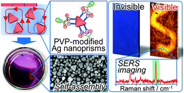 Graphical abstract: Two-dimensional assembled PVP-modified silver nanoprisms guided by butanol for surface-enhanced Raman scattering-based invisible printing platforms