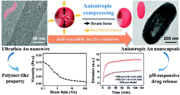 Graphical abstract: Designing anisotropic inorganic nanocapsules via self-assembly of polymer-like ultrathin Au nanowires