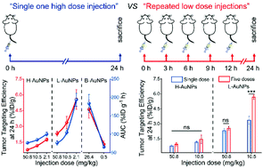 Graphical abstract: Surface-regulated injection dose response of ultrasmall luminescent gold nanoparticles