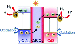 Graphical abstract: In situ bridging nanotwinned all-solid-state Z-scheme g-C3N4/CdCO3/CdS heterojunction photocatalyst by metal oxide for H2 evolution