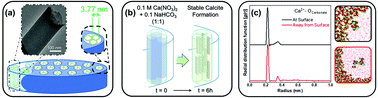 Graphical abstract: Confinement induces stable calcium carbonate formation in silica nanopores