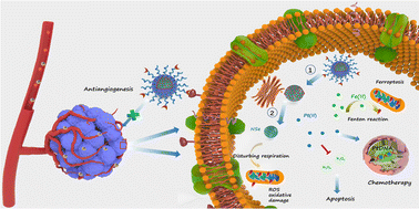 Graphical abstract: Amorphous ferric oxide-coating selenium core–shell nanoparticles: a self-preservation Pt(iv) platform for multi-modal cancer therapies through hydrogen peroxide depletion-mediated anti-angiogenesis, apoptosis and ferroptosis