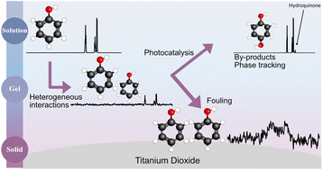 Graphical abstract: A new perspective on the photocatalytic action of titanium dioxide on phenol elucidated using comprehensive multiphase NMR