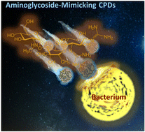 Graphical abstract: Aminoglycoside-mimicking carbonized polymer dots for bacteremia treatment