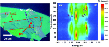 Graphical abstract: Enhanced excitonic features in an anisotropic ReS2/WSe2 heterostructure