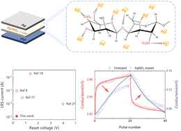 Graphical abstract: Biopolymer based artificial synapses enable linear conductance tuning and low-power for neuromorphic computing