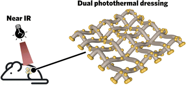 Graphical abstract: Dual photothermal nanocomposites for drug-resistant infectious wound management