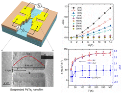 Graphical abstract: Electrical and thermal transport properties of high crystalline PdTe2 nanoribbons under a strong magnetic field
