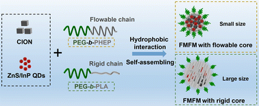 Graphical abstract: Self-assembling ferrimagnetic fluorescent micelles for bioimaging guided efficient magnetic hyperthermia therapy