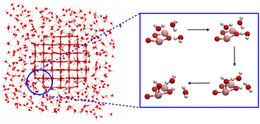 Graphical abstract: Water structure, dynamics and reactivity on a TiO2-nanoparticle surface: new insights from ab initio molecular dynamics