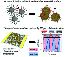 Graphical abstract: Wearable anti-temperature interference strain sensor with metal nanoparticle thin film and hybrid ligand exchange