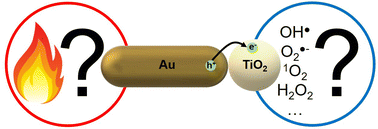 Graphical abstract: Plasmonic photocatalysis in aqueous solution: assessing the contribution of thermal effects and evaluating the role of photogenerated ROS