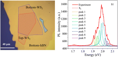 Graphical abstract: Observation of moiré excitons in the twisted WS2/WS2 homostructure