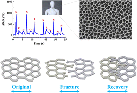 Graphical abstract: A flexible metal nano-mesh strain sensor with the characteristic of spontaneous functional recovery after fracture damage