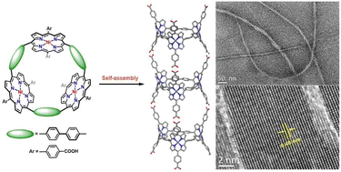 Graphical abstract: Porphyrin nanotubes based on a hydrogen-bonded organic framework