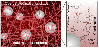 Graphical abstract: Assembly of surface-independent polyphenol/liquid gallium composite nanocoatings