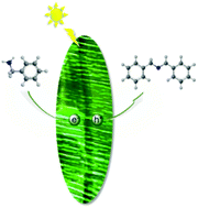 Graphical abstract: Periodically nanoporous hydrogen-bonded organic frameworks for high performance photocatalysis