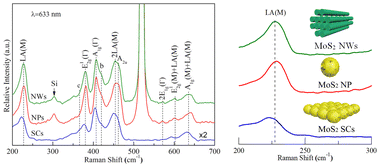 Graphical abstract: Casted MoS2 nanostructures and their Raman properties