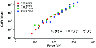 Graphical abstract: Molecular homogeneity of GB1 revealed by single molecule force spectroscopy