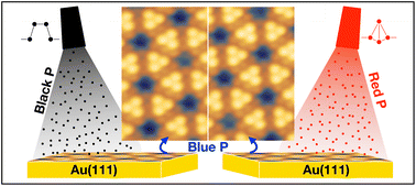 Graphical abstract: Black or red phosphorus yields the same blue phosphorus film