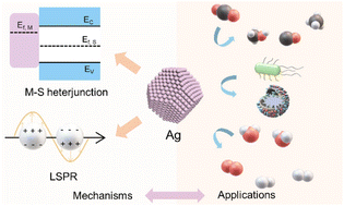 Graphical abstract: Silver based photocatalysts in emerging applications