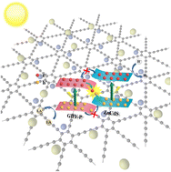 Graphical abstract: Phosphorus-modified two-dimensional graphdiyne (CnH2n−2)/ZnCdS forms S-scheme heterojunctions for photocatalytic hydrogen production