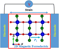 Graphical abstract: Large piezoelectric response in ferroelectric/multiferroelectric metal oxyhalide MOX2 (M = Ti, V and X = F, Cl and Br) monolayers