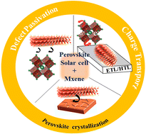 Graphical abstract: Recent progress in use of MXene in perovskite solar cells: for interfacial modification, work-function tuning and additive engineering