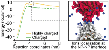 Graphical abstract: Monovalent ion-mediated charge–charge interactions drive aggregation of surface-functionalized gold nanoparticles