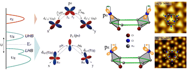 Graphical abstract: Direct observation of the Mottness and p–d orbital hybridization in the epitaxial monolayer α-RuCl3