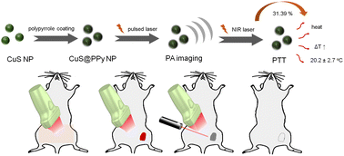 Graphical abstract: In vivo photoacoustic image-guided tumor photothermal therapy and real-time temperature monitoring using a core–shell polypyrrole@CuS nanohybrid