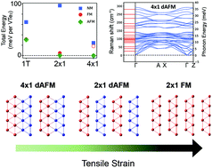 Graphical abstract: Strain engineering and the hidden role of magnetism in monolayer VTe2