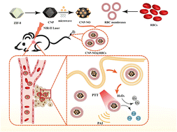 Graphical abstract: Photothermal/nitric oxide synergistic anti-tumour therapy based on MOF-derived carbon composite nanoparticles