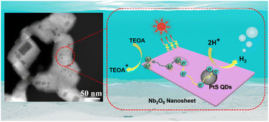 Graphical abstract: PtS quantum dots/Nb2O5 nanosheets with accelerated charge transfer for boosting photocatalytic H2 production