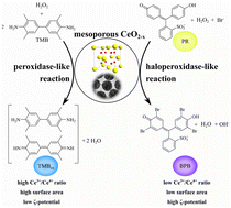 Graphical abstract: Tuning ceria catalysts in aqueous media at the nanoscale: how do surface charge and surface defects determine peroxidase- and haloperoxidase-like reactivity