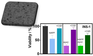 Graphical abstract: Anti-aggregation effect of carbon quantum dots on diabetogenic and beta-cell cytotoxic amylin and beta amyloid heterocomplexes