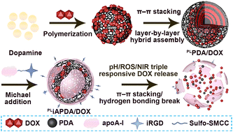 Graphical abstract: “Carrier–drug” layer-by-layer hybrid assembly of biocompatible polydopamine nanoparticles to amplify photo-chemotherapy