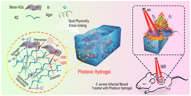 Graphical abstract: Photonic double-network hydrogel dressings for antibacterial phototherapy and inflammation regulation in the general management of cutaneous regeneration