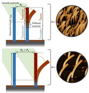 Graphical abstract: Exploiting flux shadowing for strain and bending engineering in core–shell nanowires