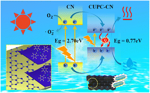 Graphical abstract: 3D macroporous CUPC/g-C3N4 heterostructured composites for highly efficient multifunctional solar evaporation